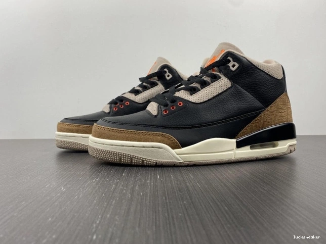 Reps LUCY Air CT8532-008 Jordan Elephant Desert 3 0715